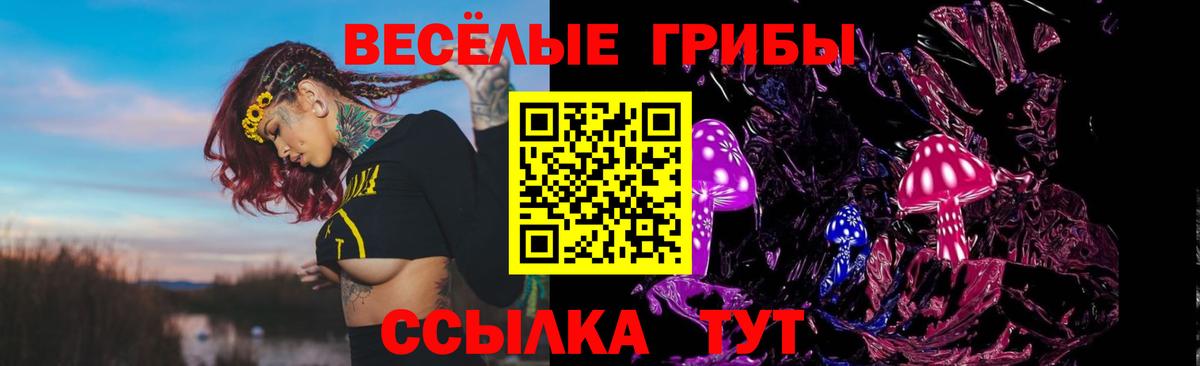 Псилоцибиновые грибы прущие грибы Луховицы